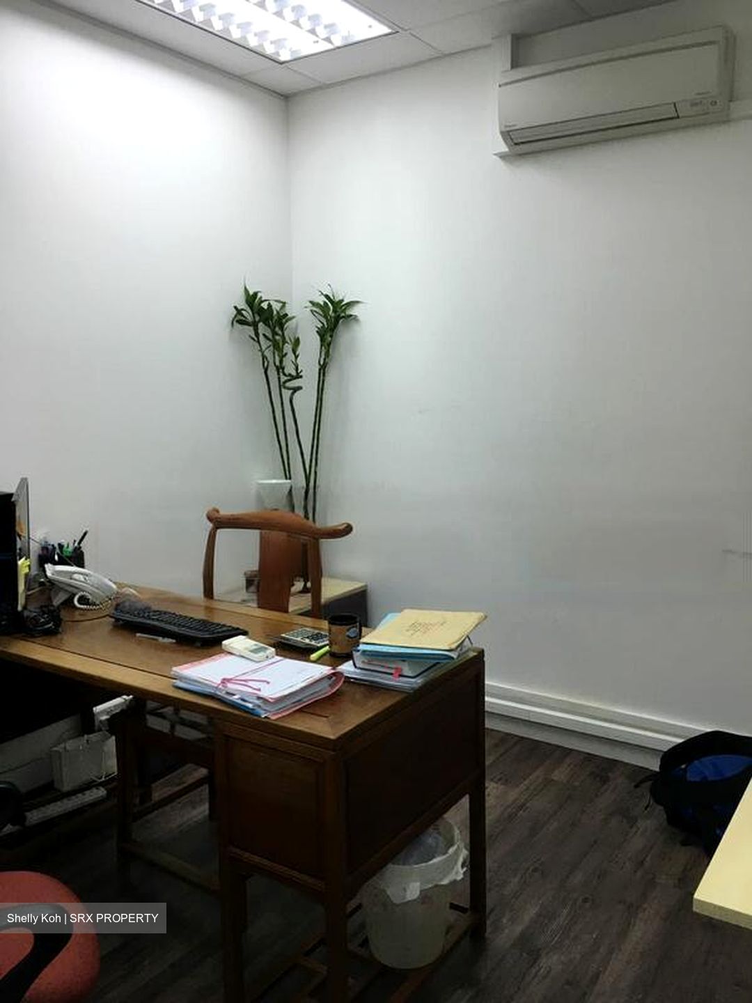 The Alexcier (D3), Factory #462328261